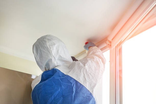 Mold Remediation for Rental Properties in Vincennes, IN